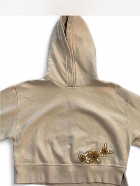 Minimalist neutral trendy glam athleisure fashion Zara Crop hoodie gold appliqué